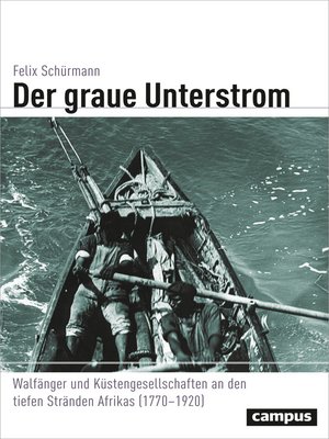 cover image of Der graue Unterstrom